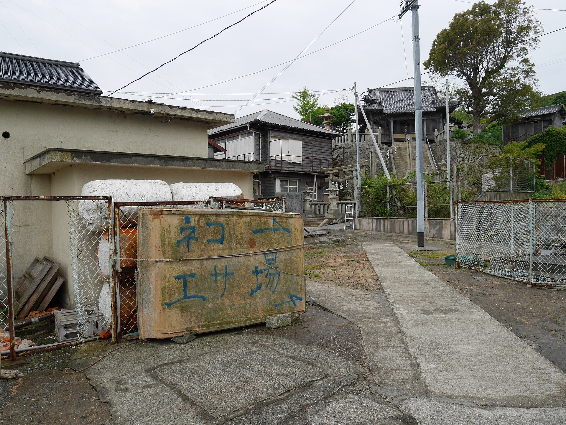 The designated feeding area on Aoshima