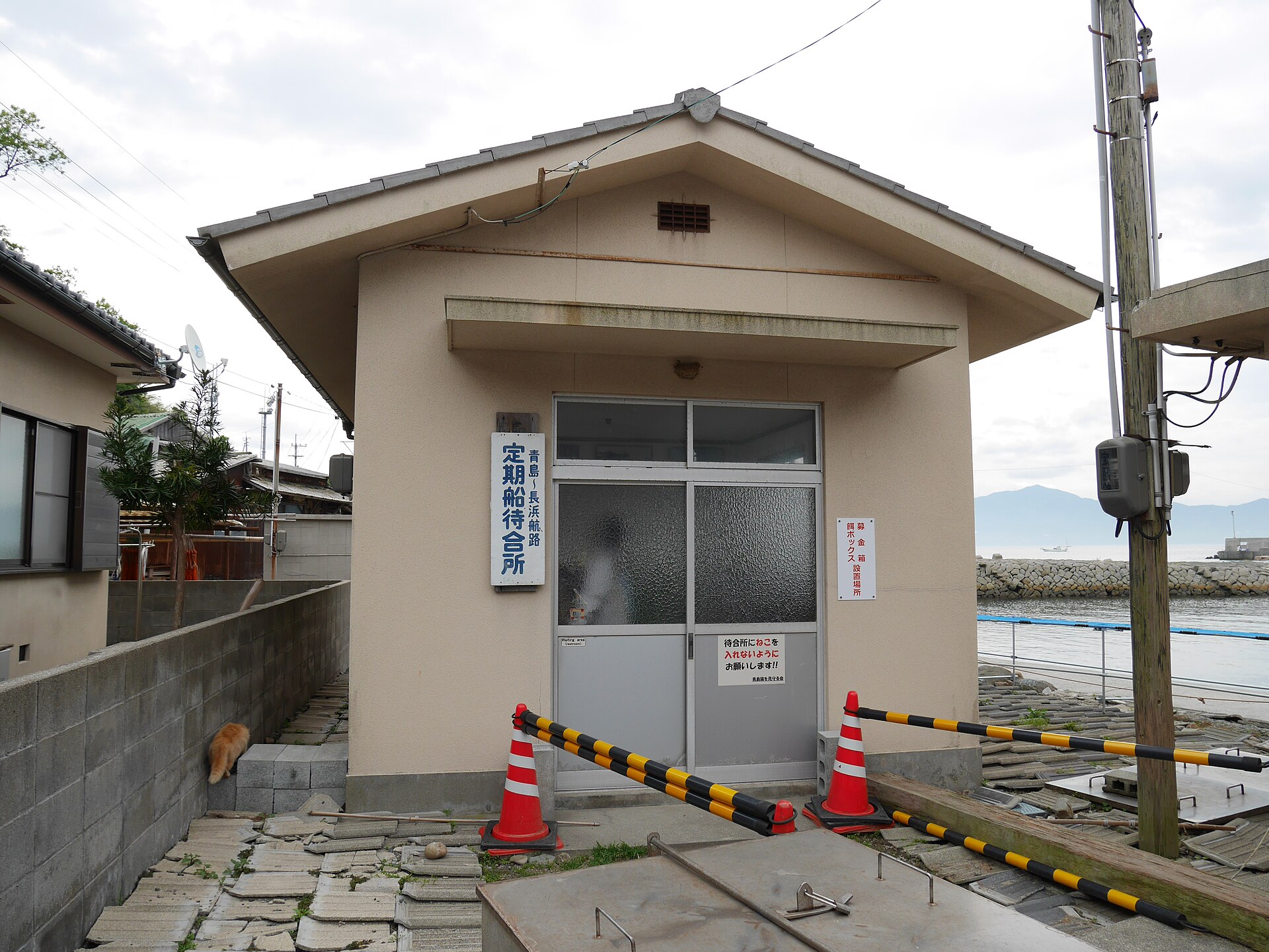 The ferry waiting room at Aoshima port, where the cats gather