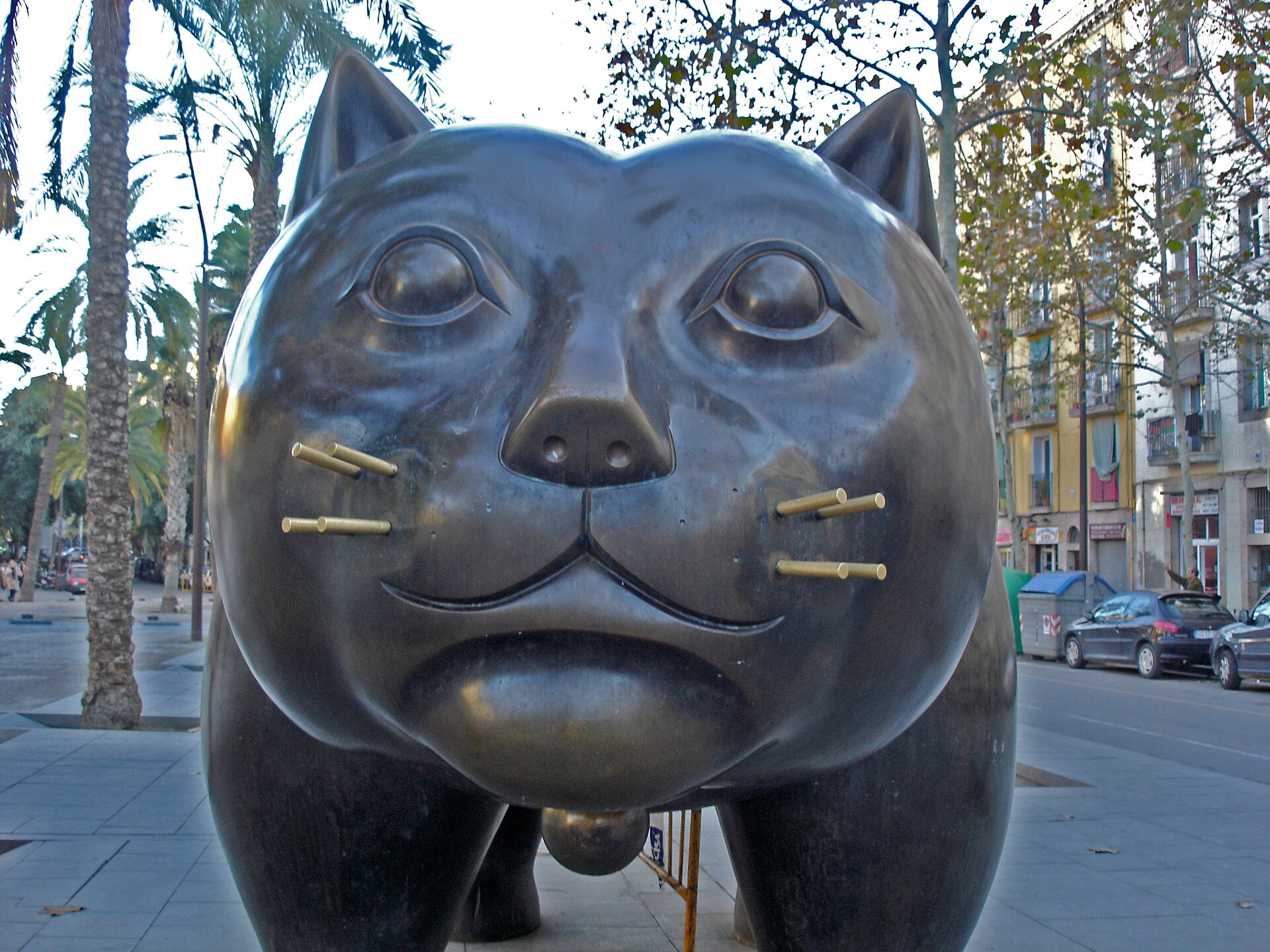 The face of Botero’s Raval cat