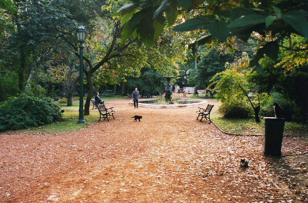 The fountain of the Buenos Aires Botanical Garden with a black cat on the path and two more on a bin and the gravel
