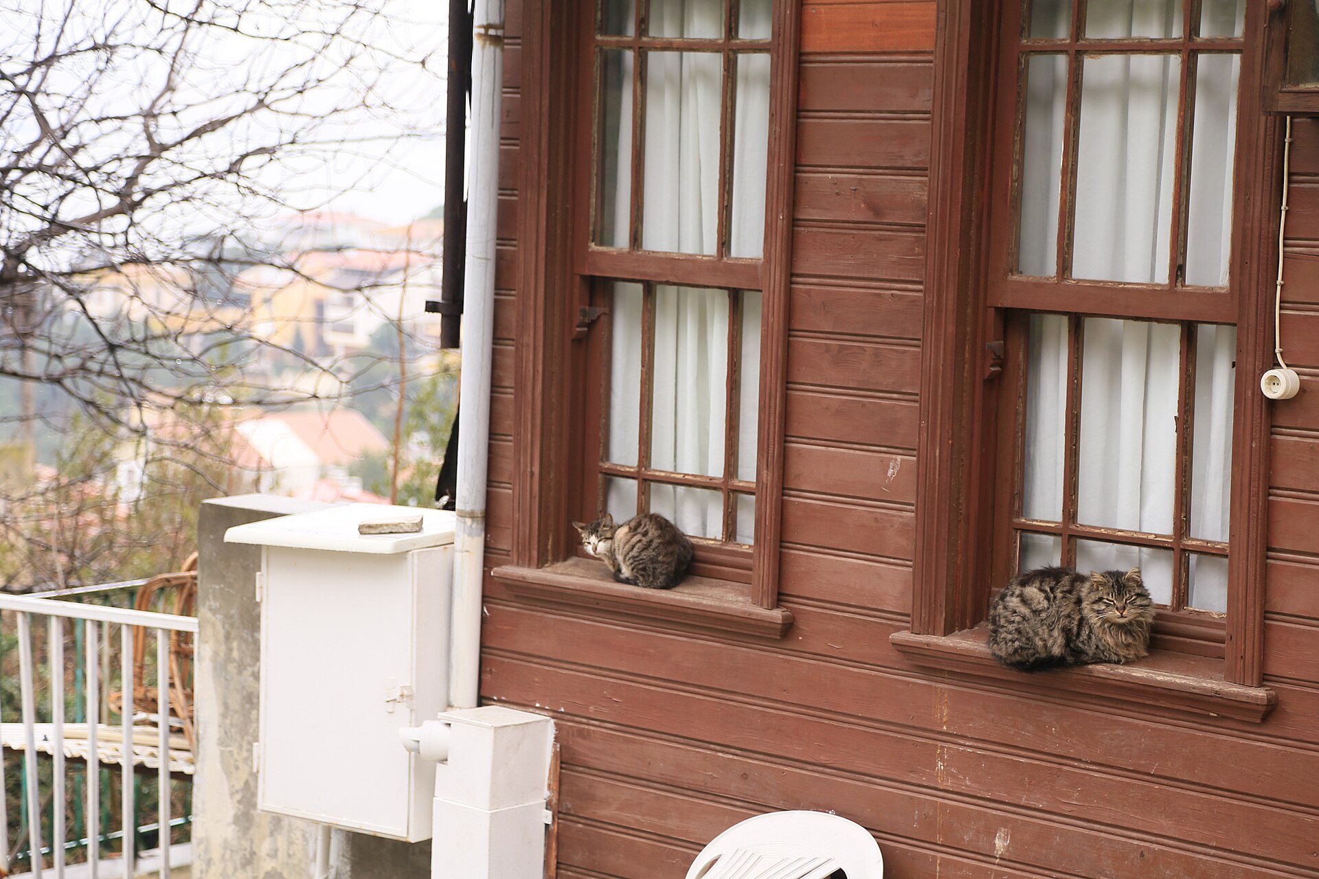 A street of wooden houses on Büyükada, Istanbul