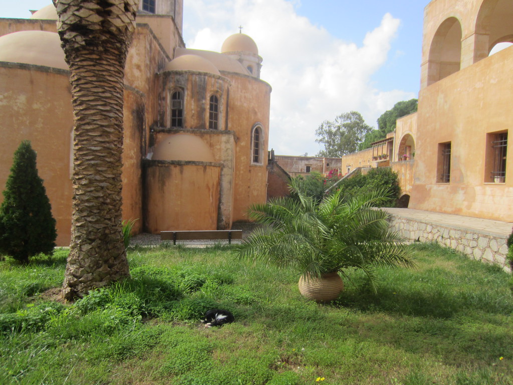 A cat at Agia Triada monastery near Chania