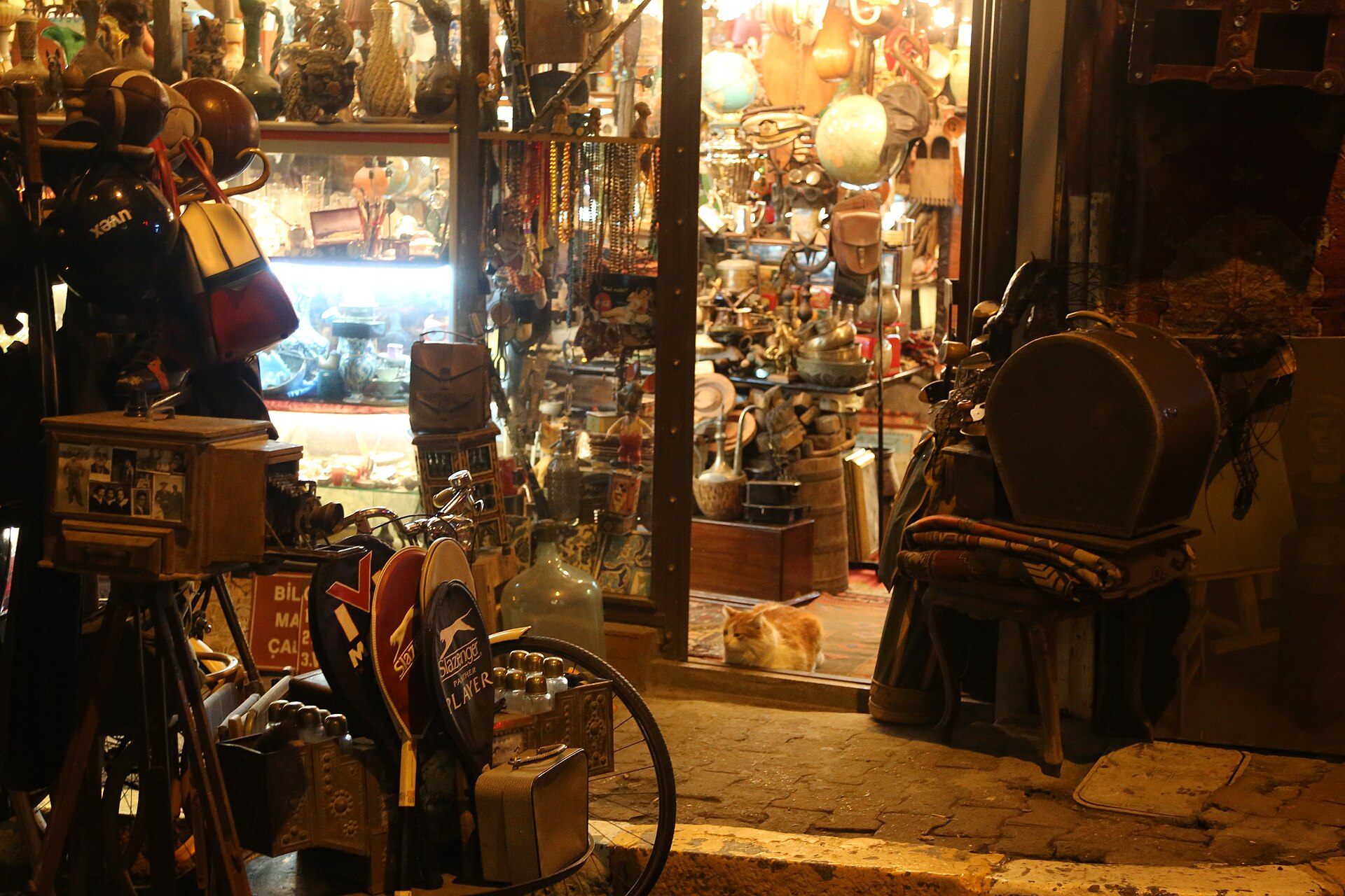 A ginger cat sitting in the lit doorway of a Cihangir antique shop full of brass and bric-a-brac