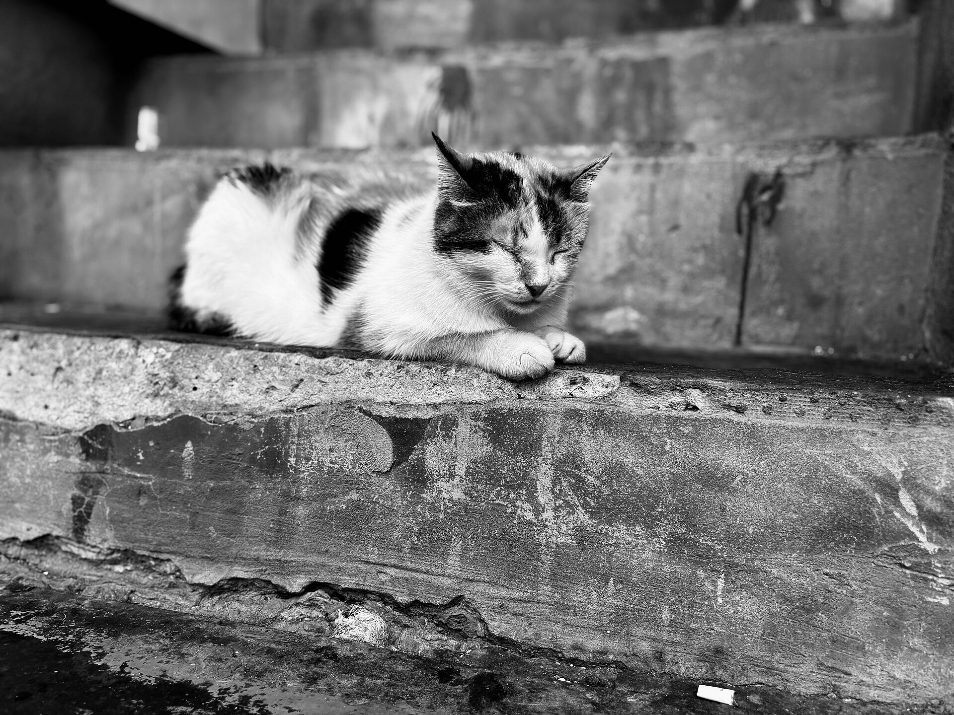 A cat asleep on a worn stone step in Beyo臒lu