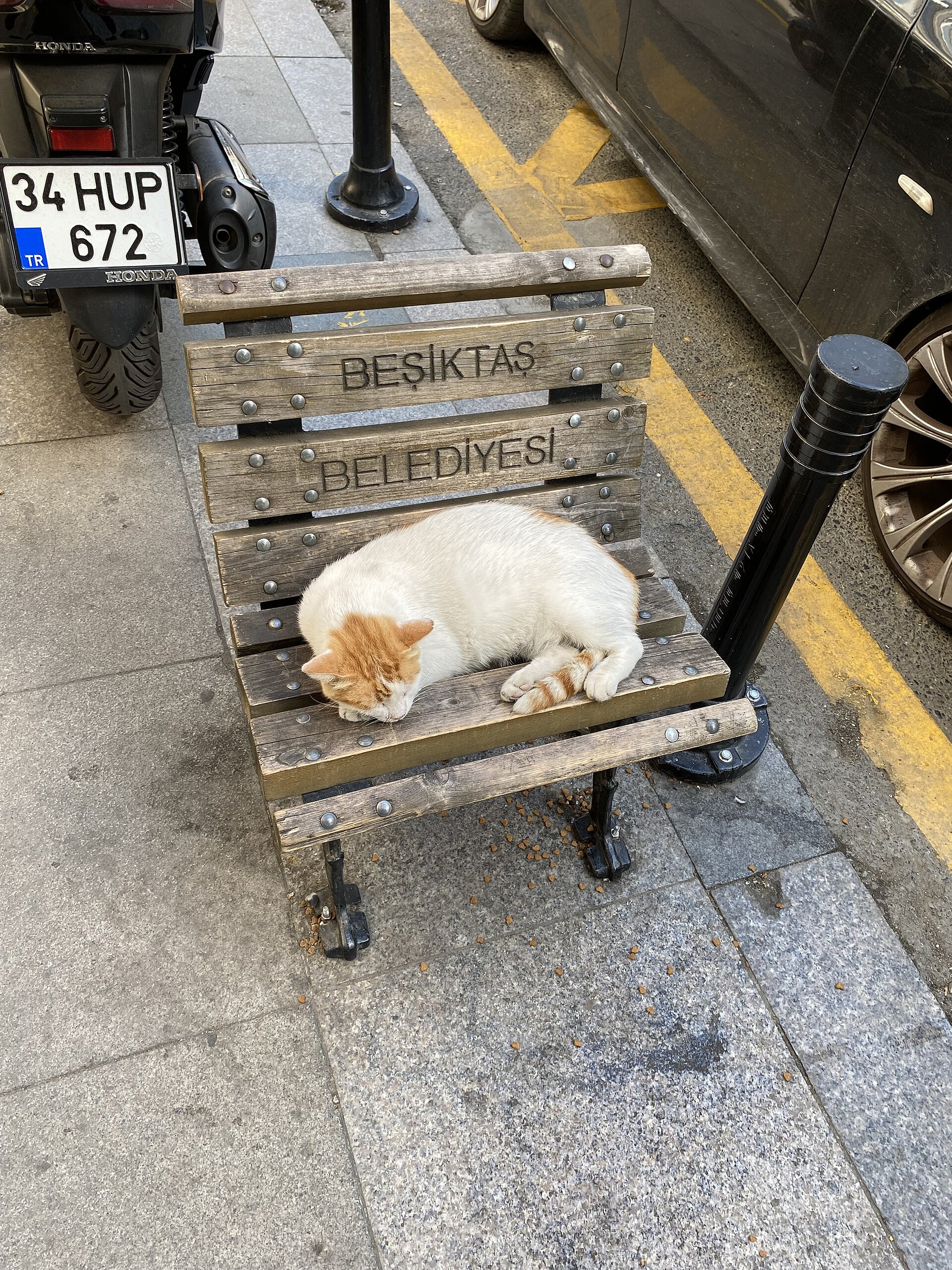 A cat asleep on a municipal plastic chair