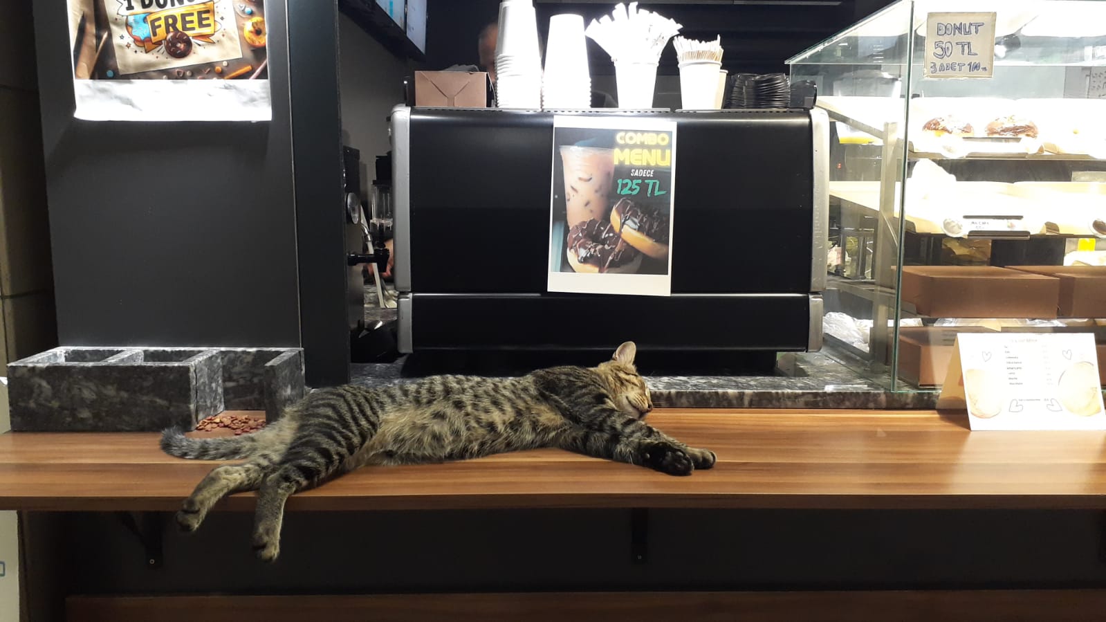 A cat asleep on the counter of a donut shop