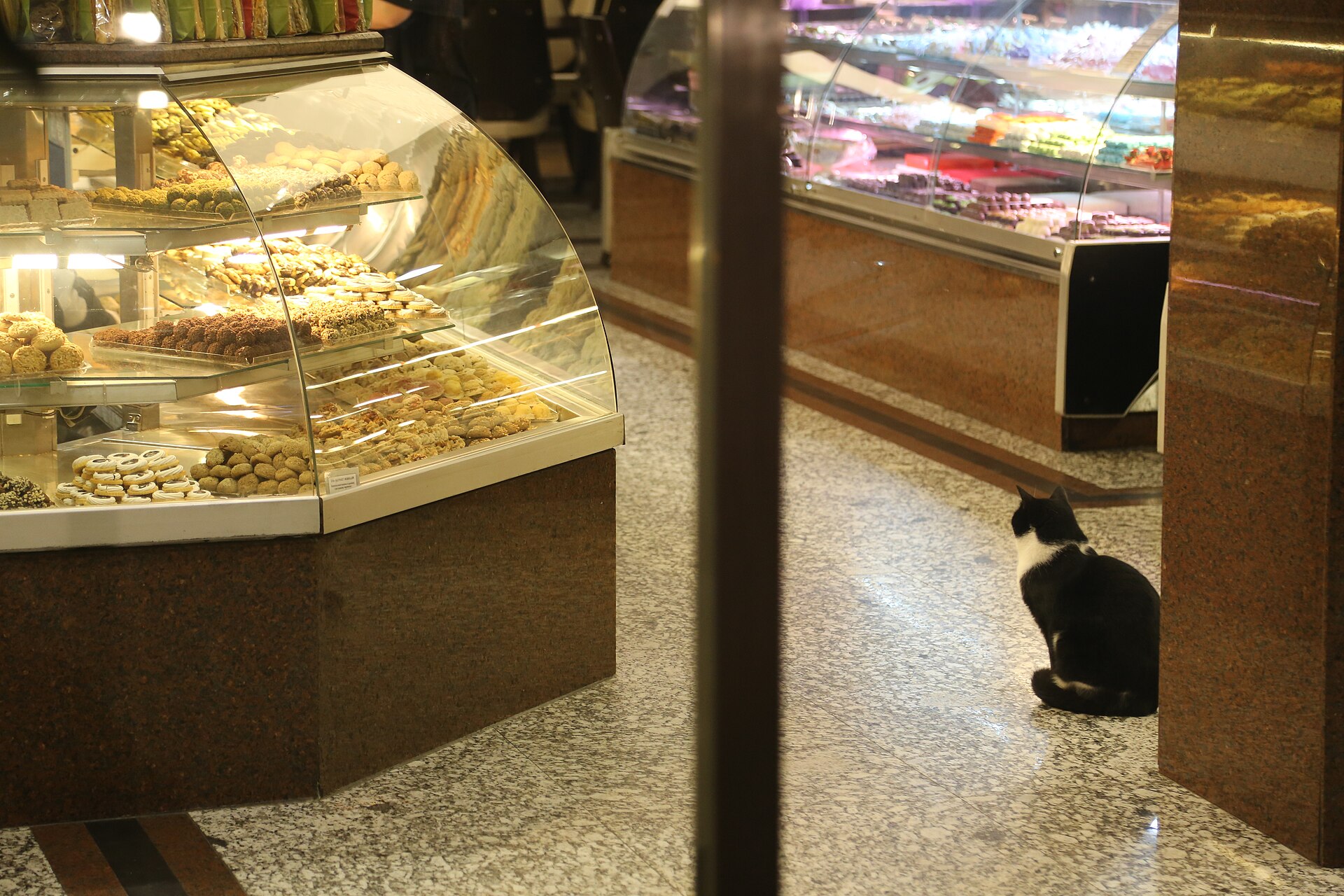 A black and white tuxedo cat sitting on the floor of a patisserie in Cihangir, between glass cases of pastries