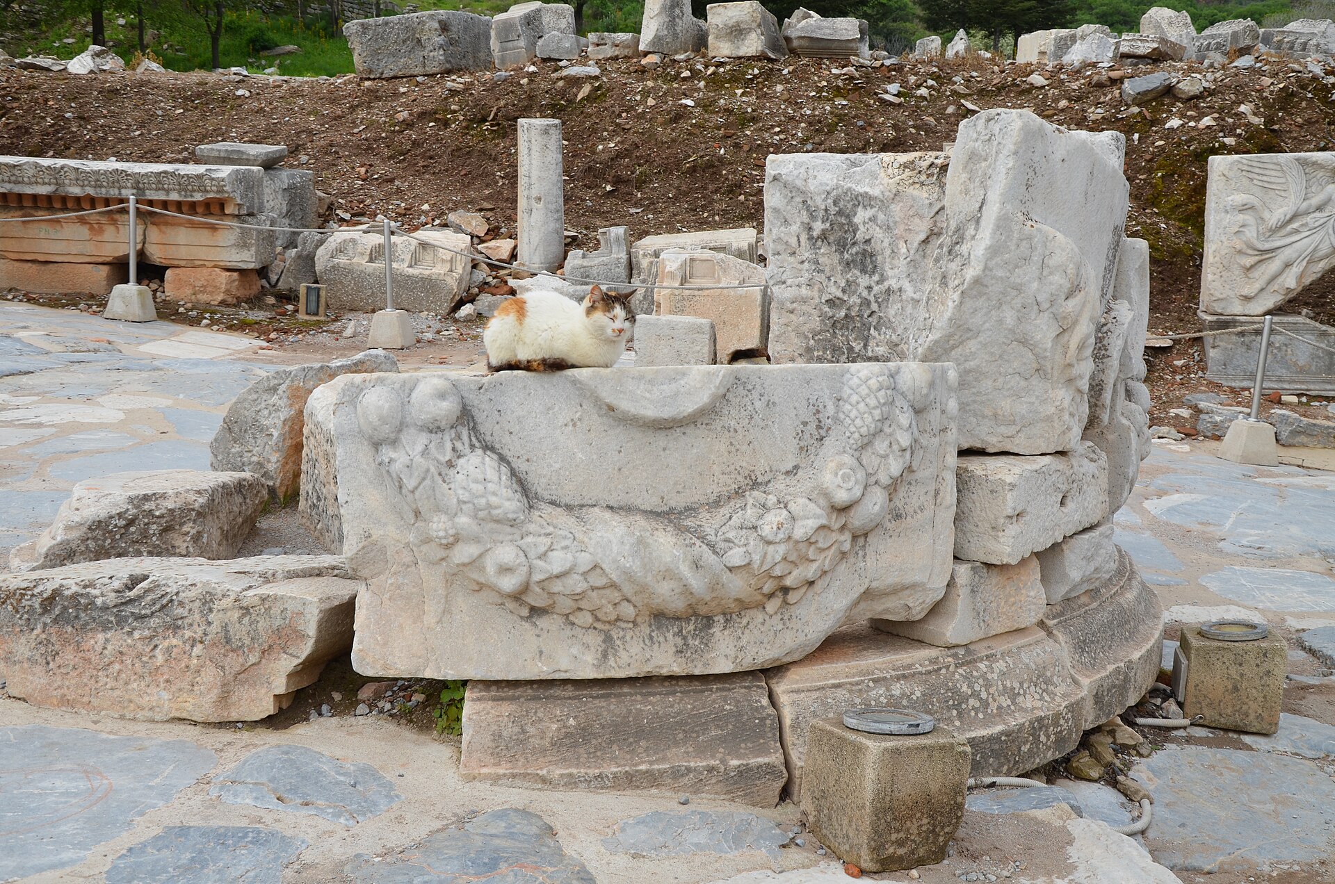 A cat resting on the stones of Ephesus