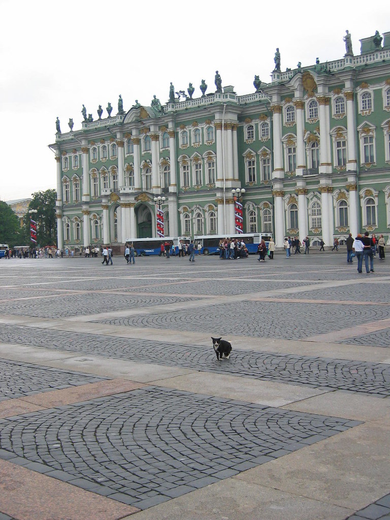 A cat outside the Hermitage