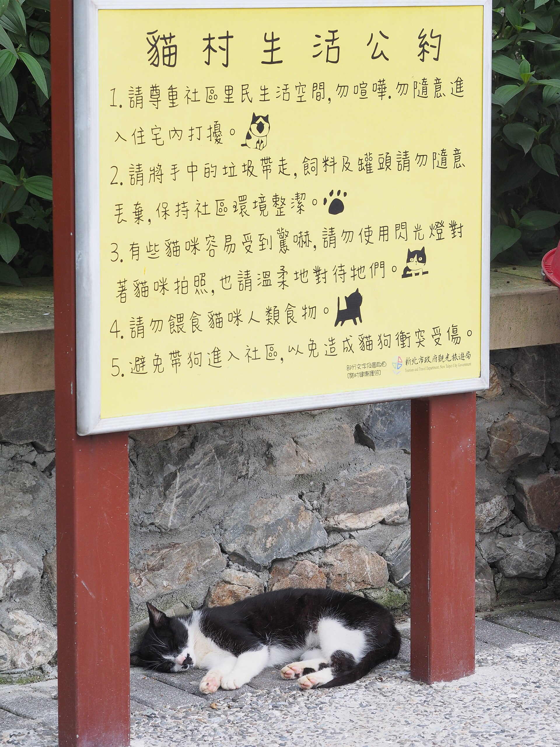 A yellow sign in Houtong listing the five rules of the cat village, with a black and white cat asleep on the ground beneath it