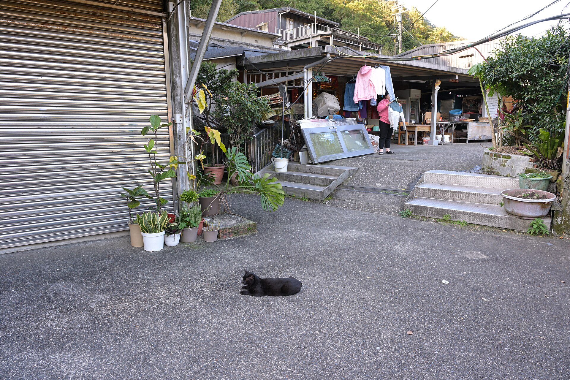 A black cat at Houtong Cat Village