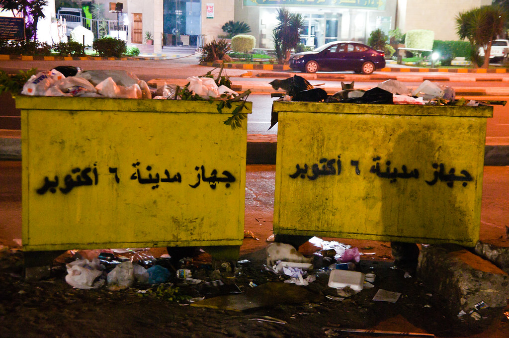 Cats around the bins in a Cairo street