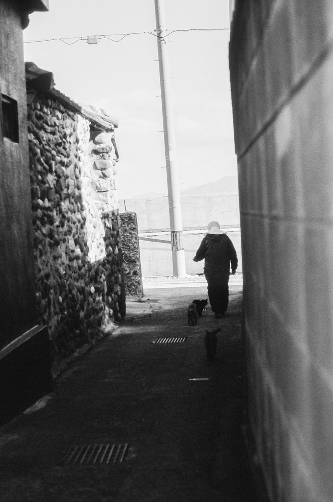 An elderly woman walking down a stone-walled lane on Iwaishima with cats following her