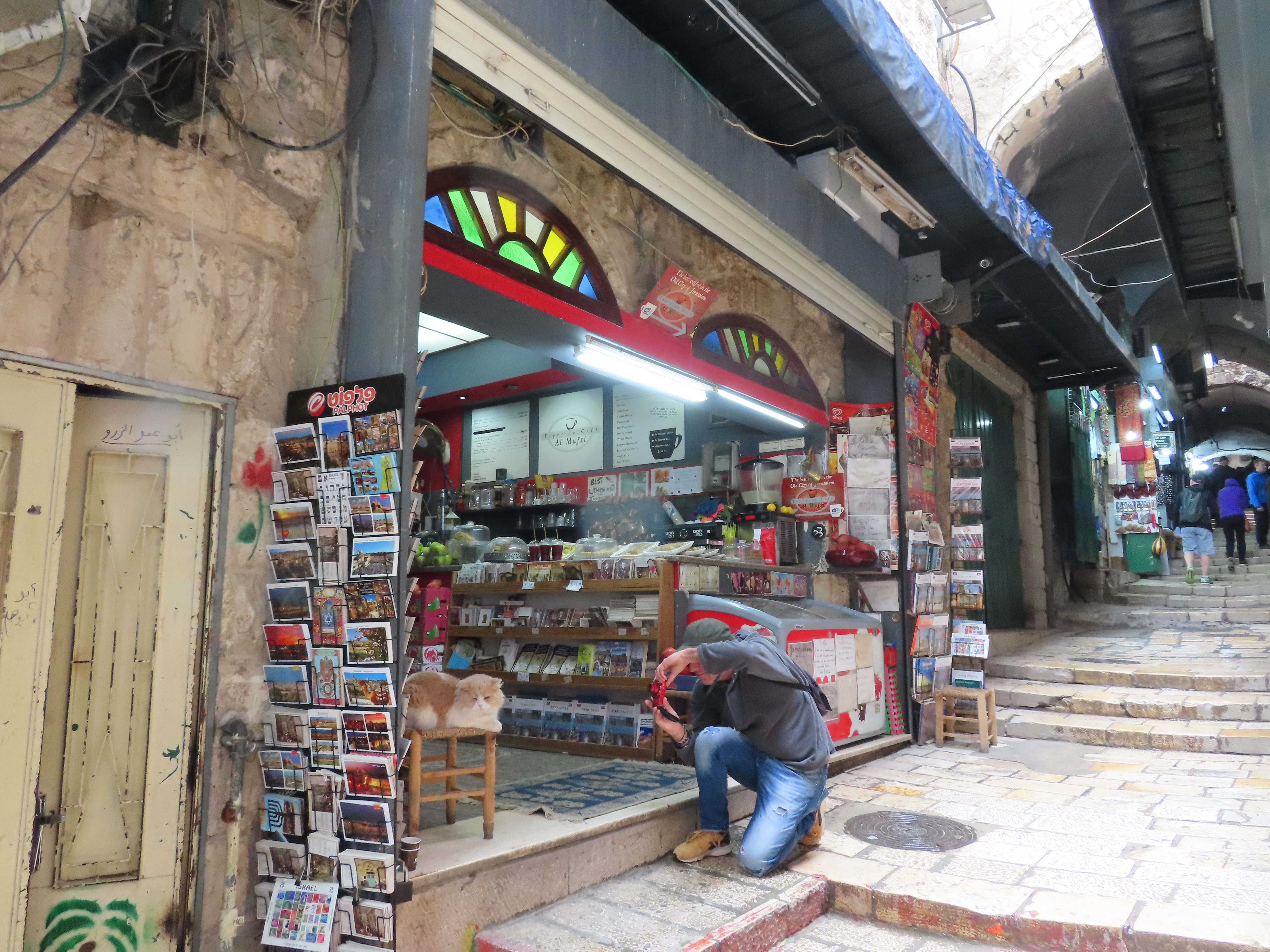 A cat in a coffee shop in Jerusalem