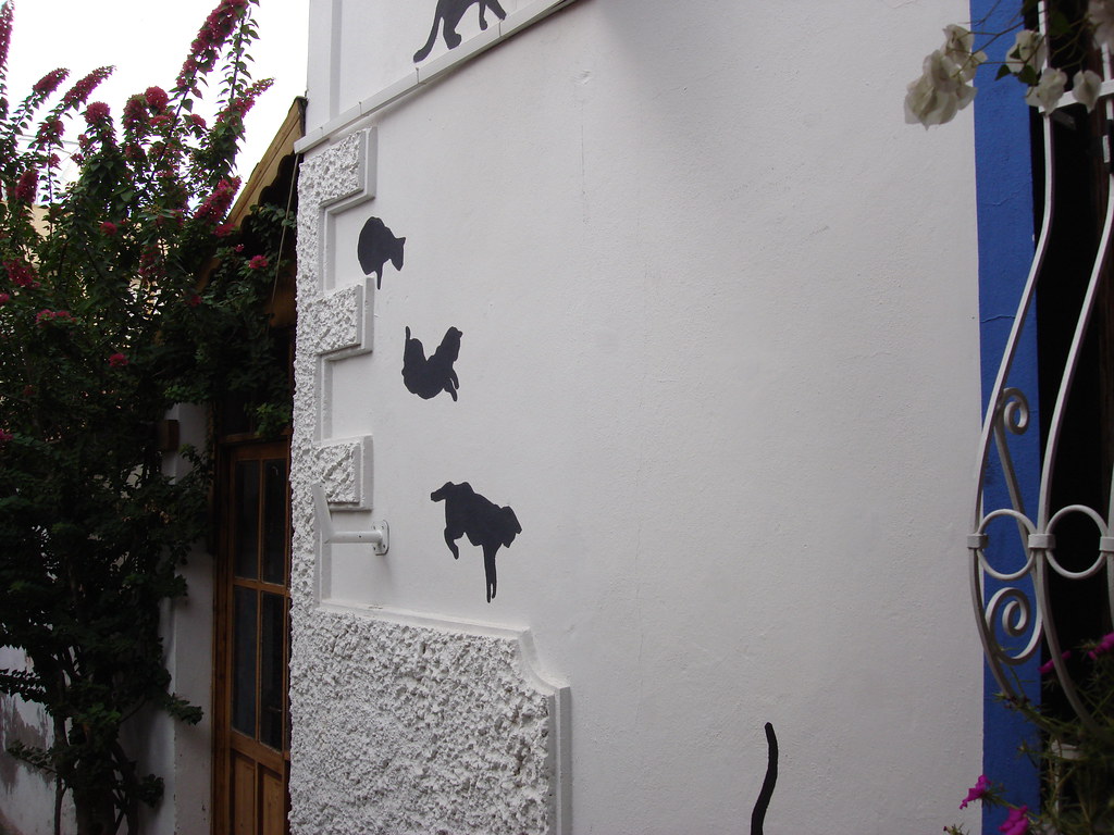 Painted black cat silhouettes climbing the white wall of a house in Kaş
