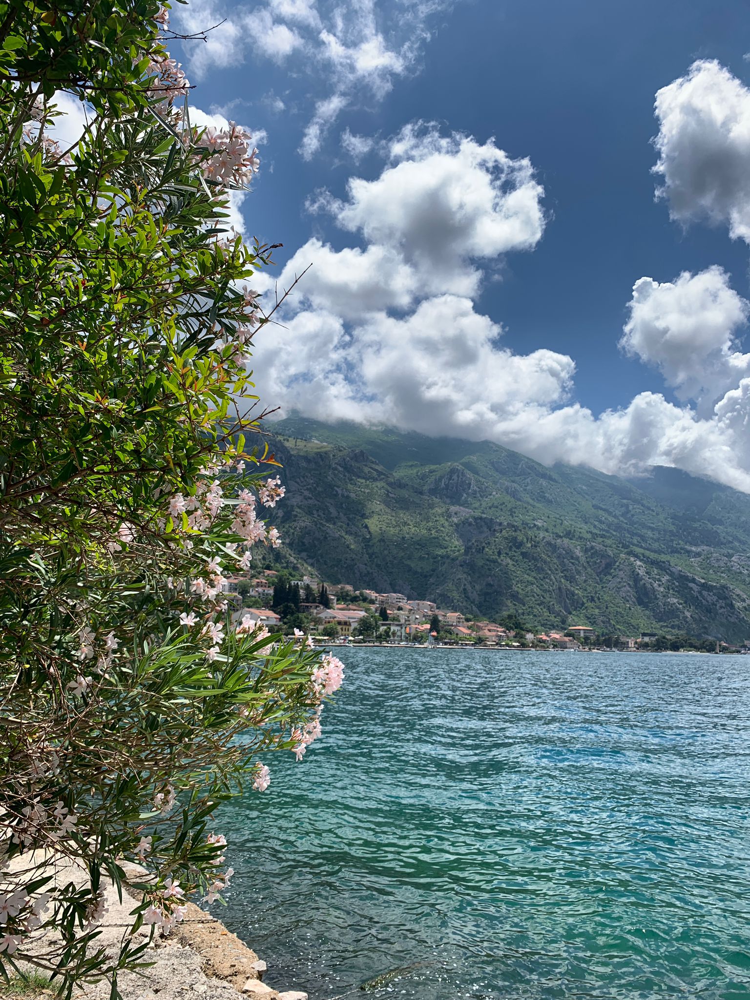 A stone square inside Kotor old town with the mountain behind