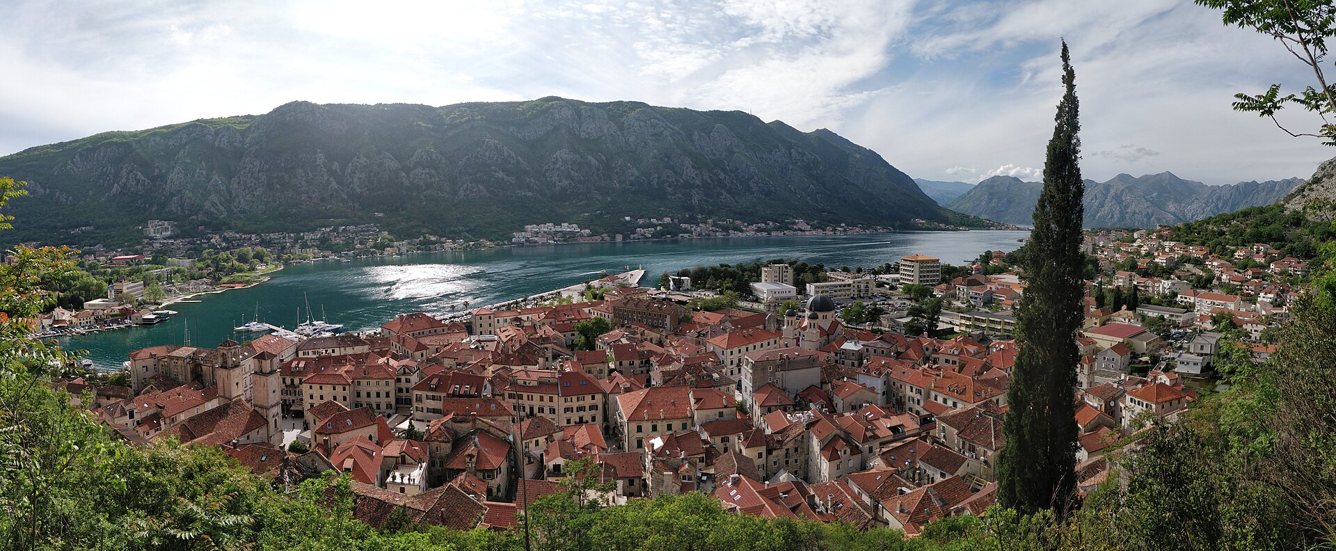 Kotor old town and the bay seen from the fortress path above it