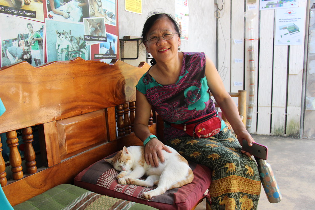 A volunteer sitting with a sleeping cat on a bench at Lanta Animal Welfare