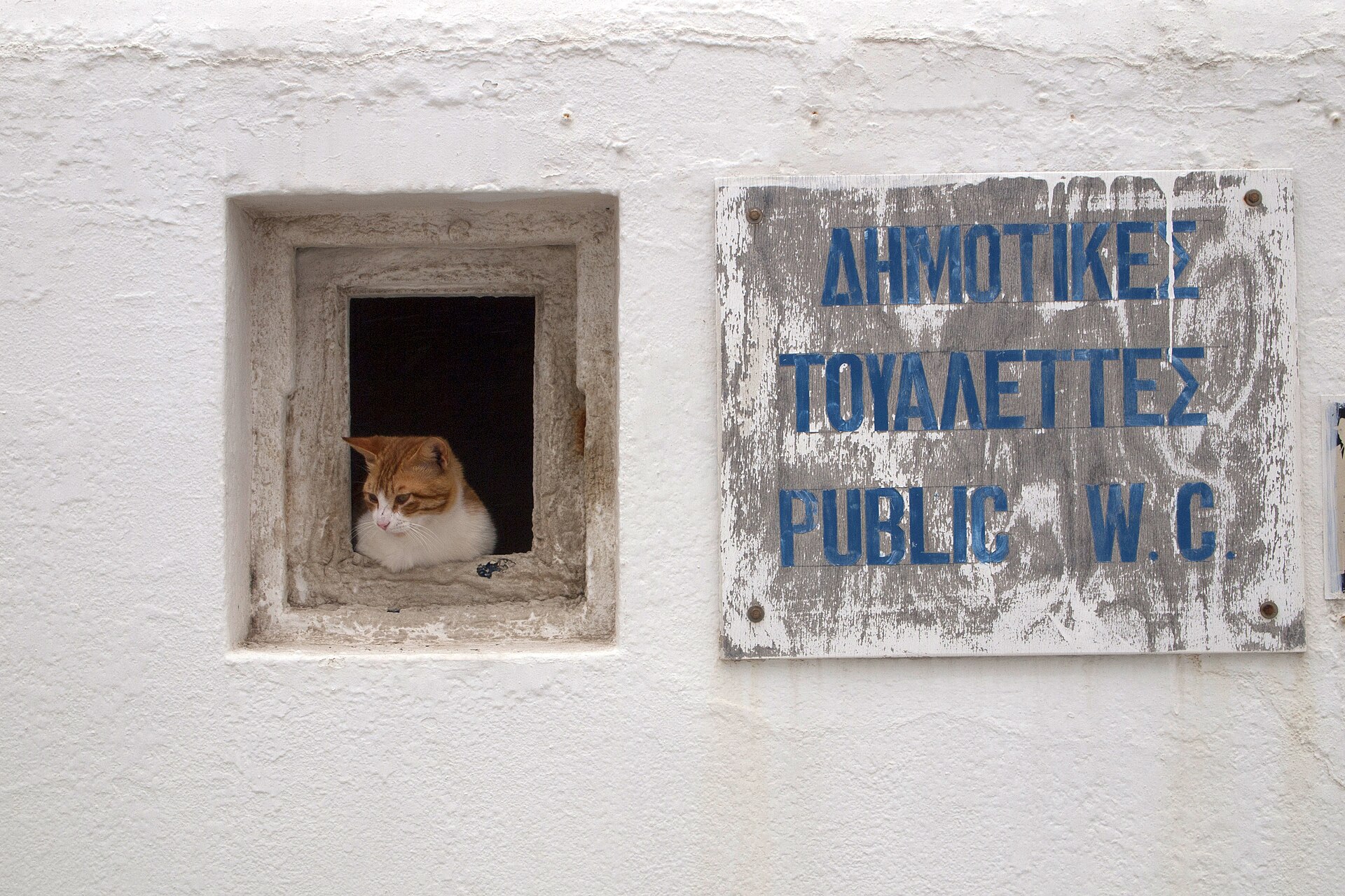 Mykonos town by the water