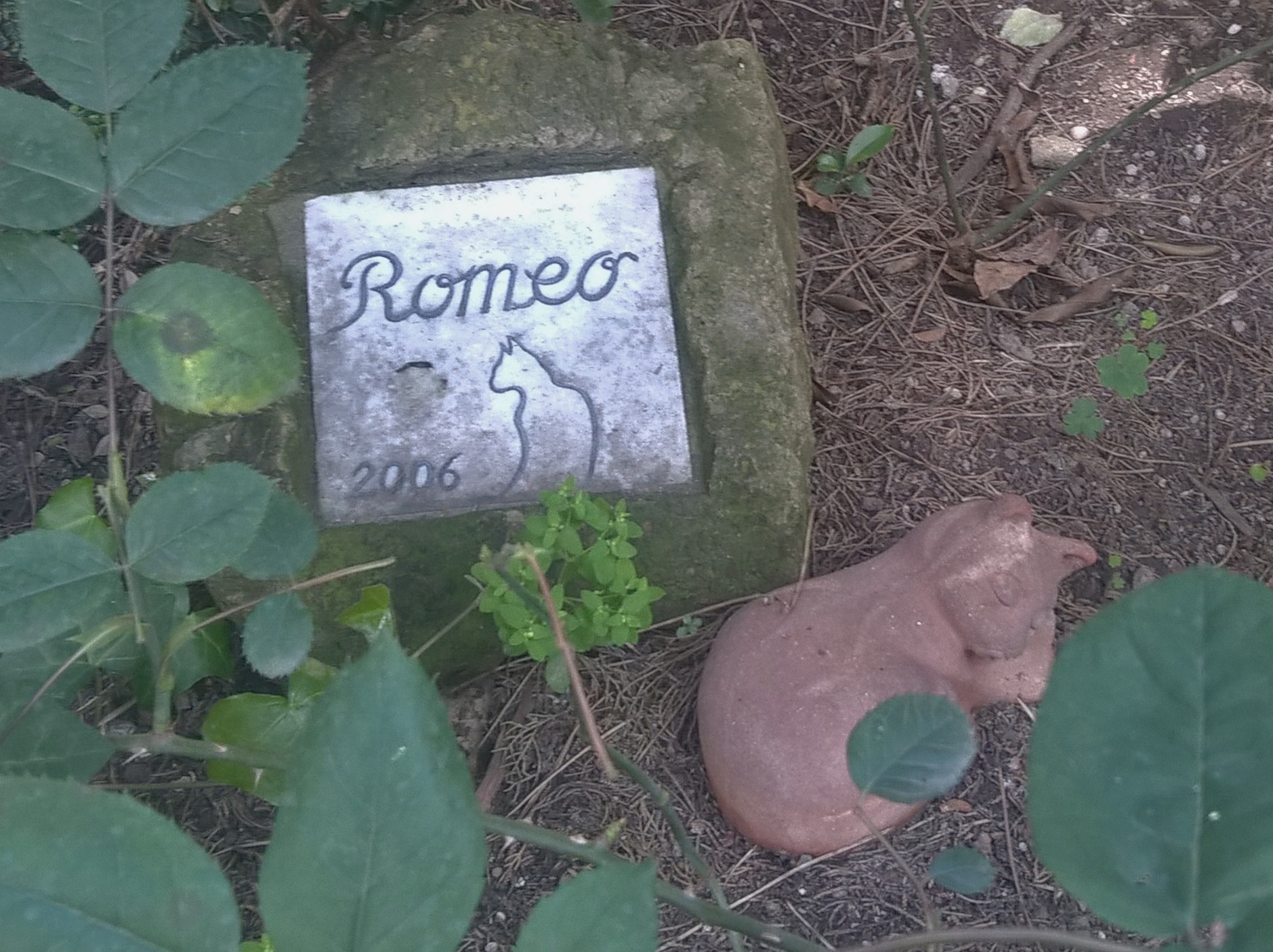 The grave of Romeo the cat in the Non-Catholic Cemetery