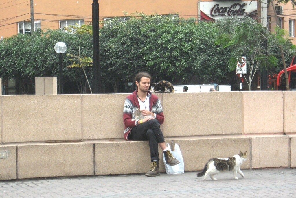 A man holding a cat on a wall in Parque Kennedy with another cat walking past