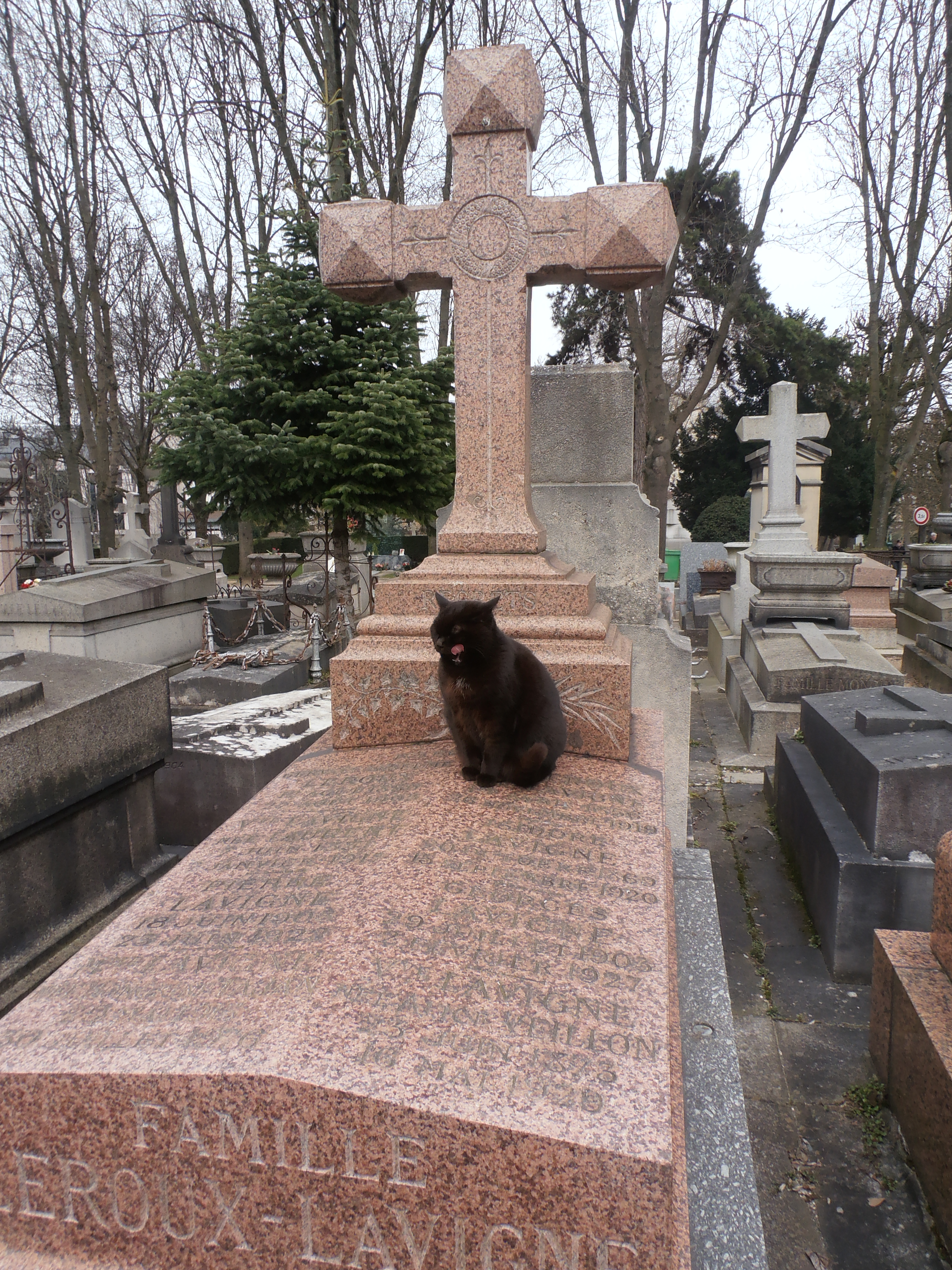 A black cat on a pink granite tomb in Père Lachaise