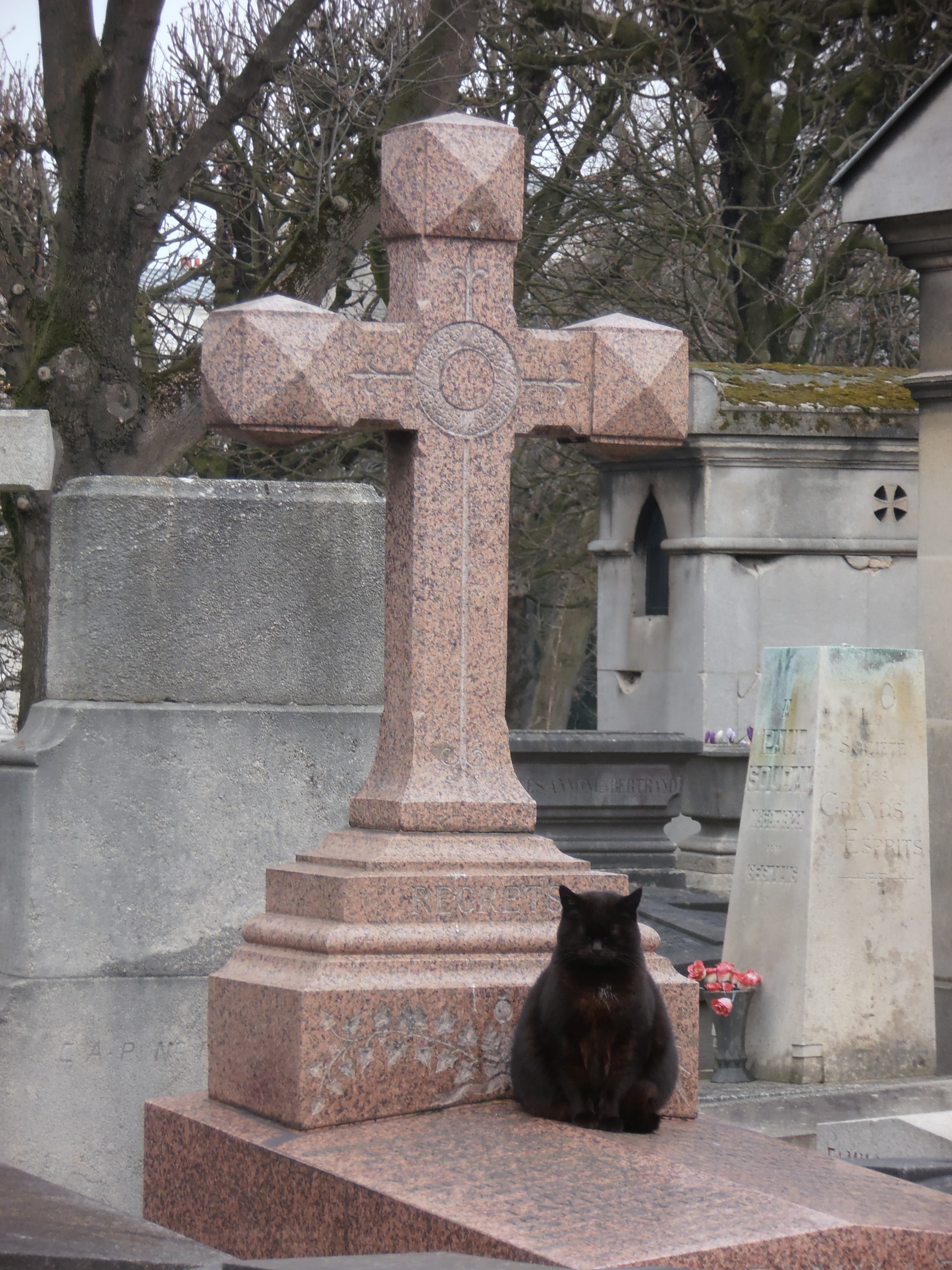 A cat on the cobbles of Père Lachaise