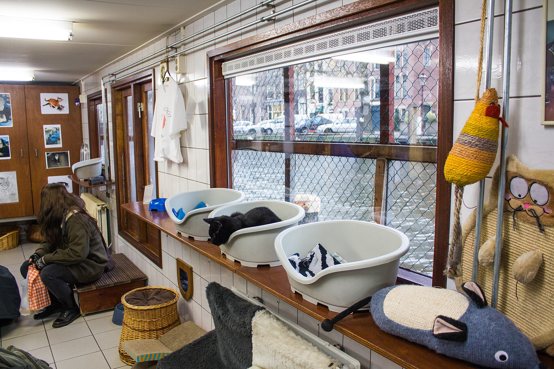The cat boat in Amsterdam