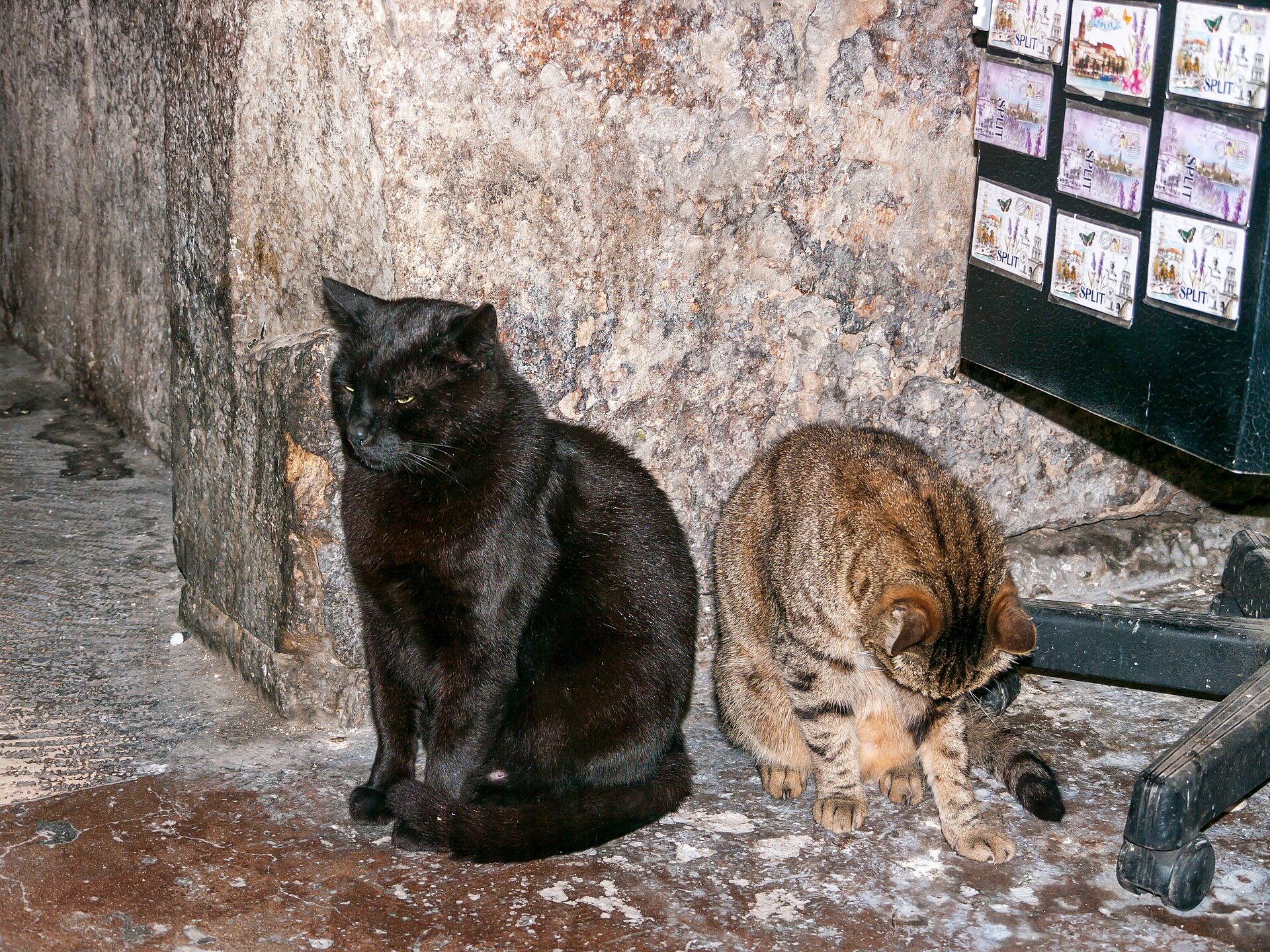 A lane in the old town of Split