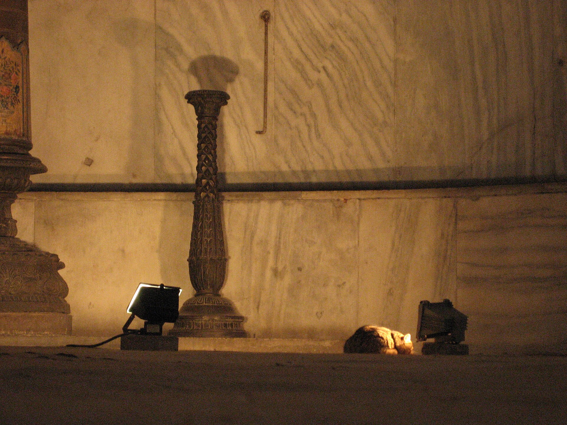 A cat warming itself inside Hagia Sophia, Istanbul