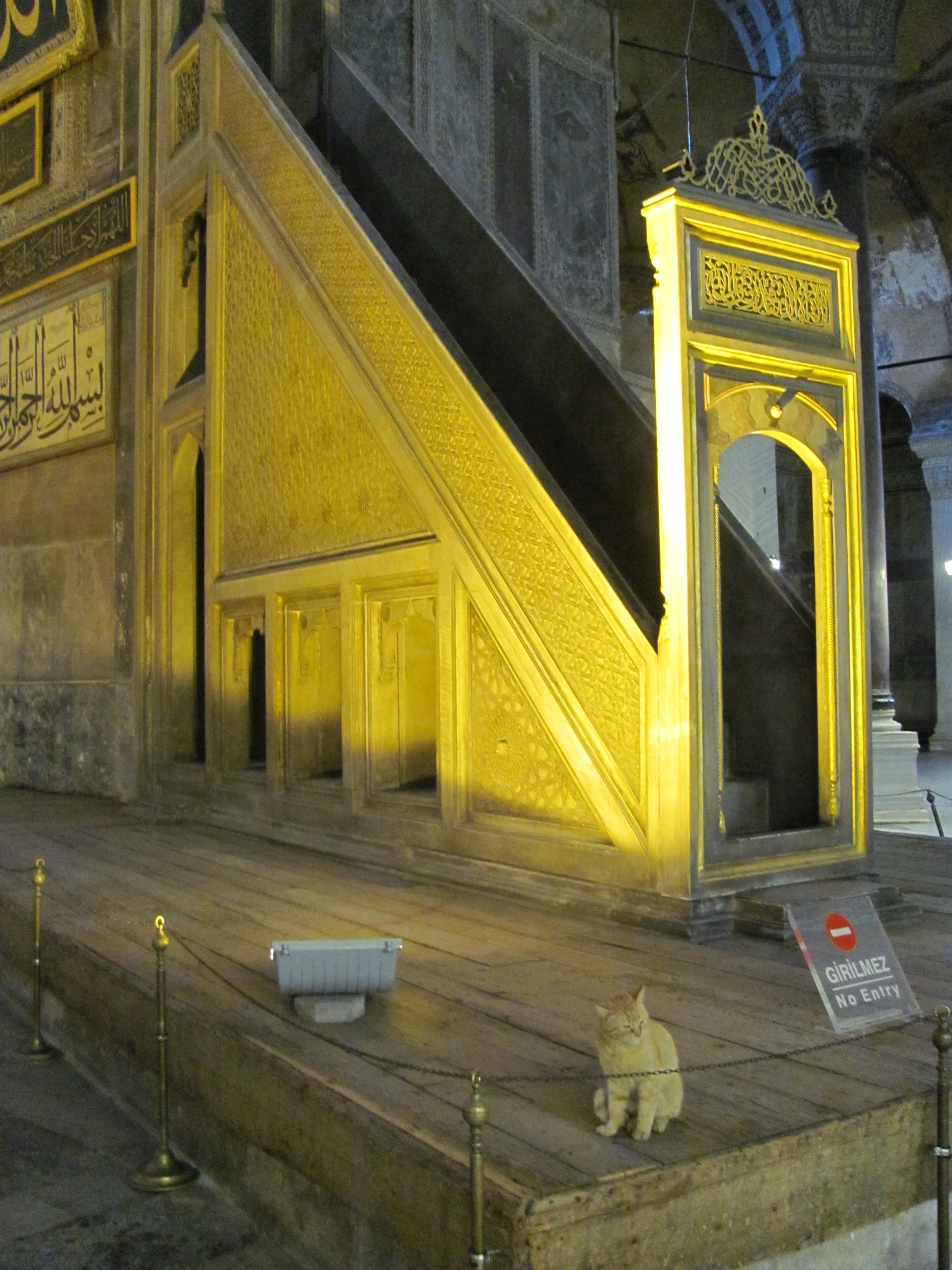 A cat on the marble floor of Hagia Sophia
