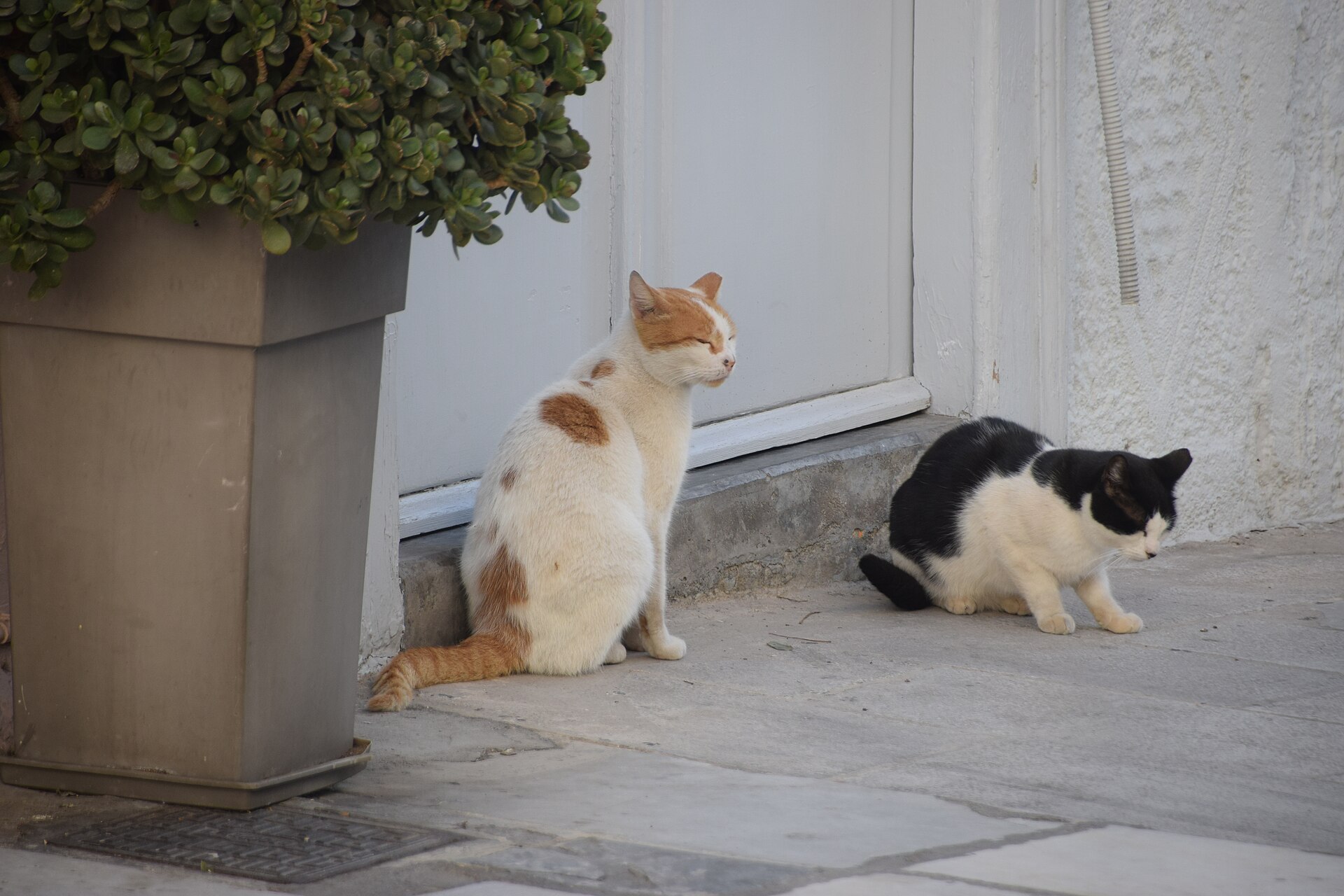 Ermoupoli, Syros, seen in October