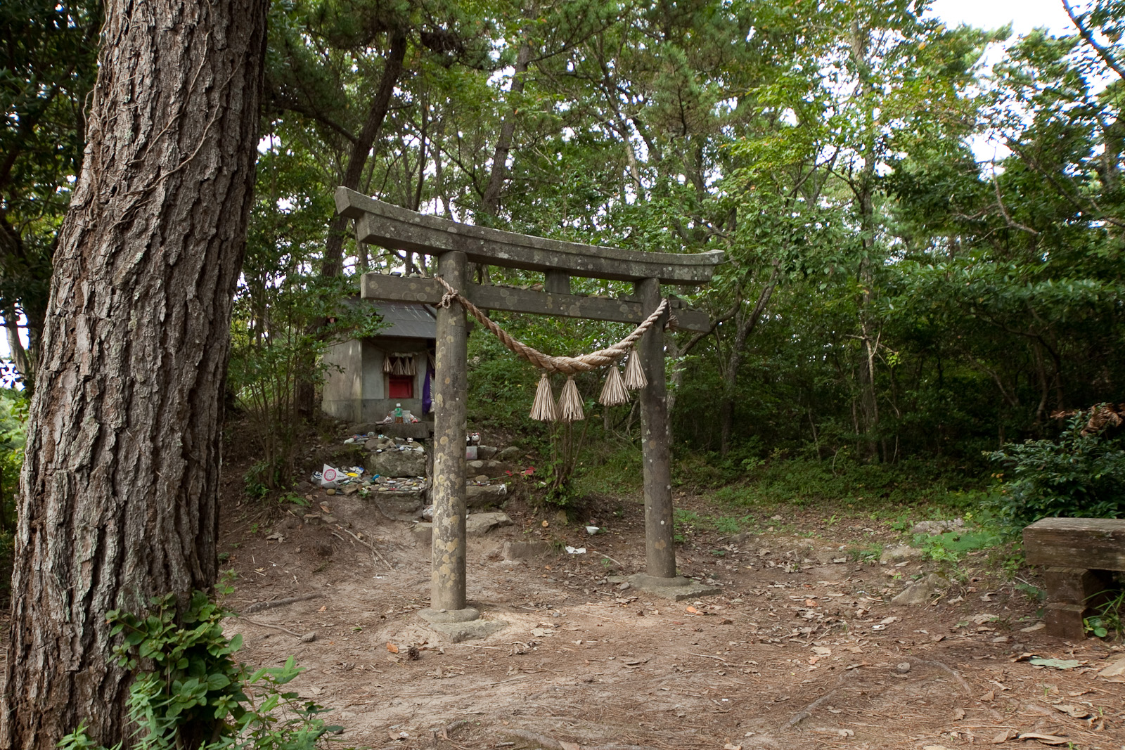 The cat shrine on Tashirojima, a small wooden shrine in the woods