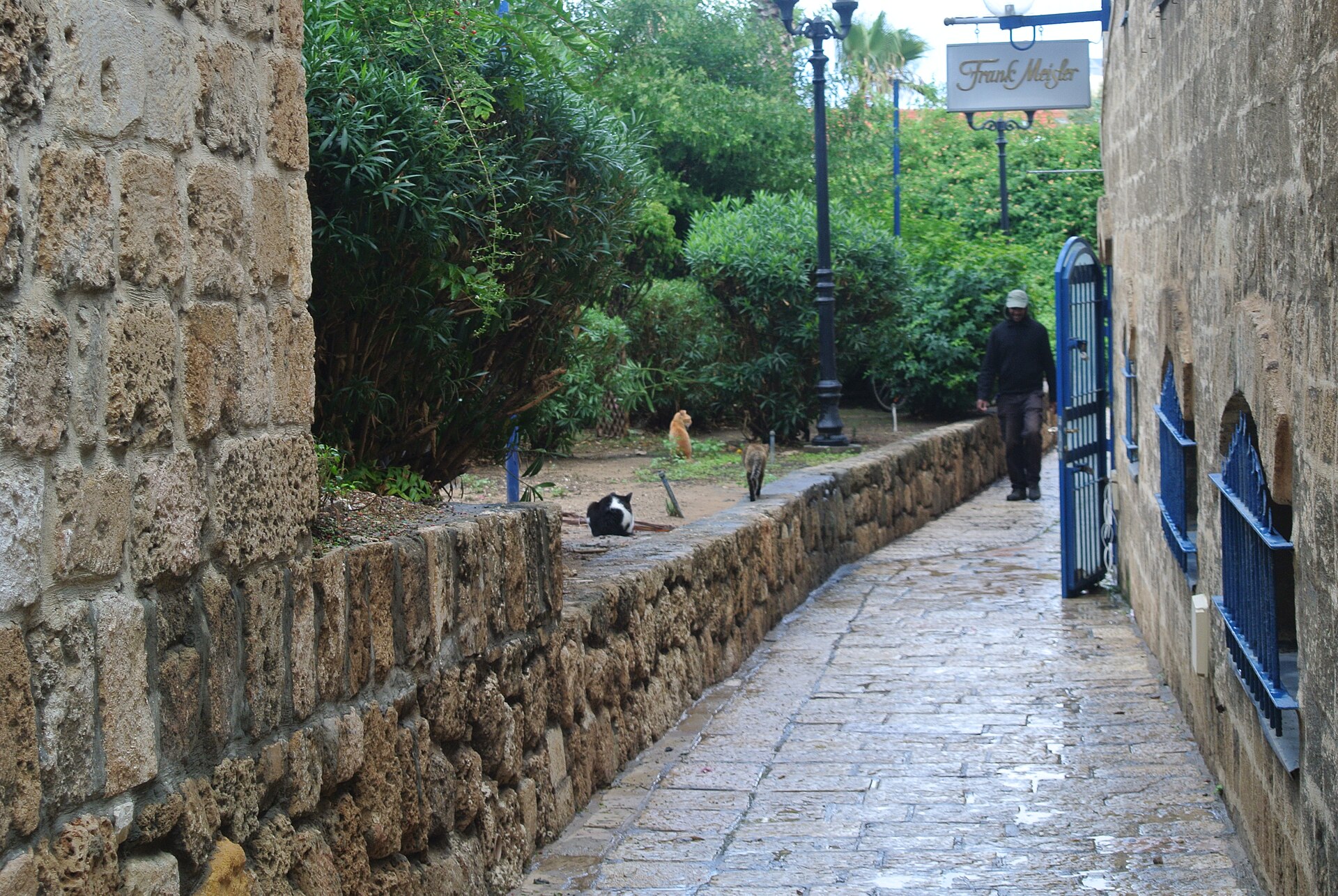 A lane in old Jaffa