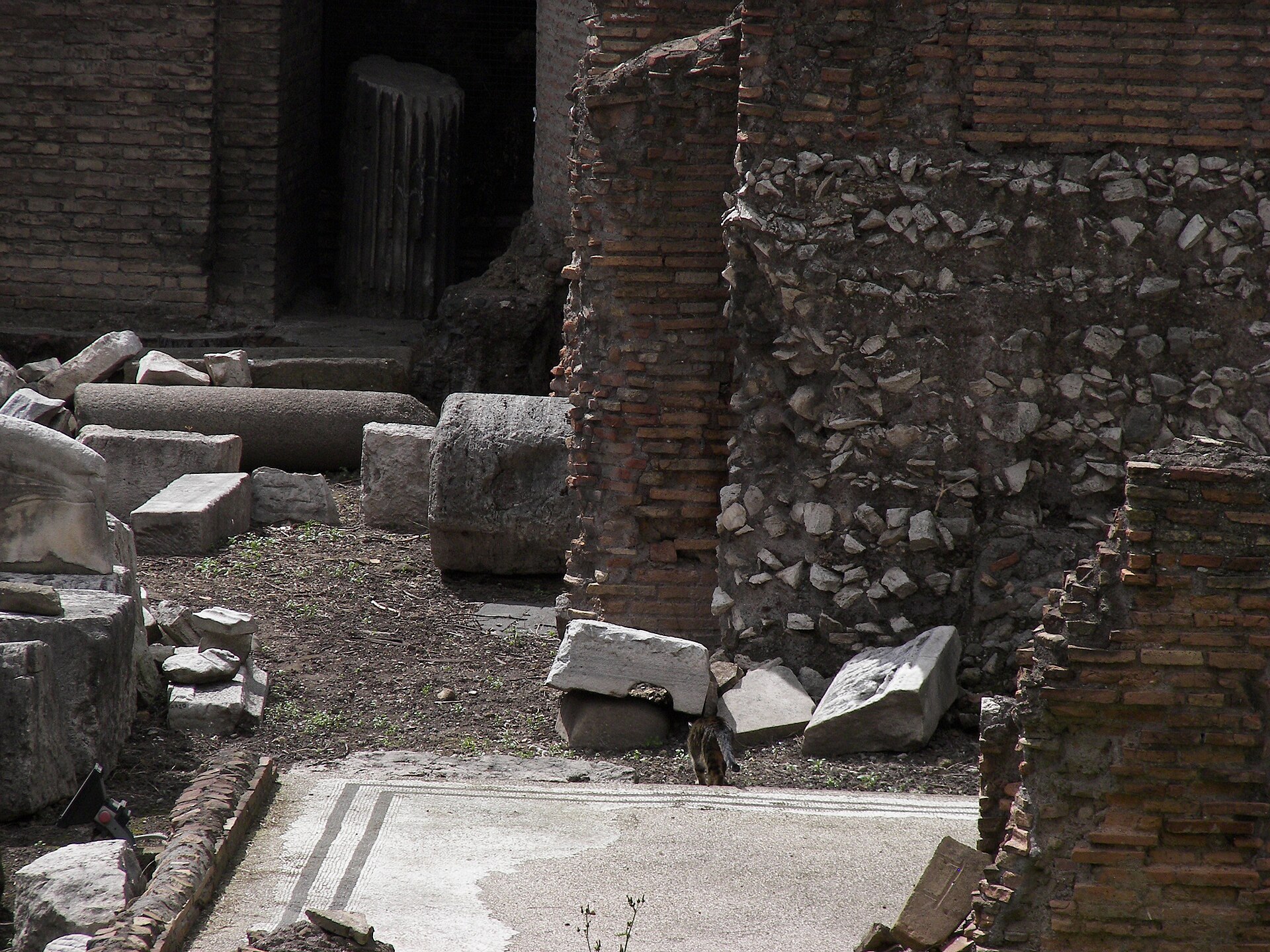 A cat among the ruins at Largo di Torre Argentina, Rome