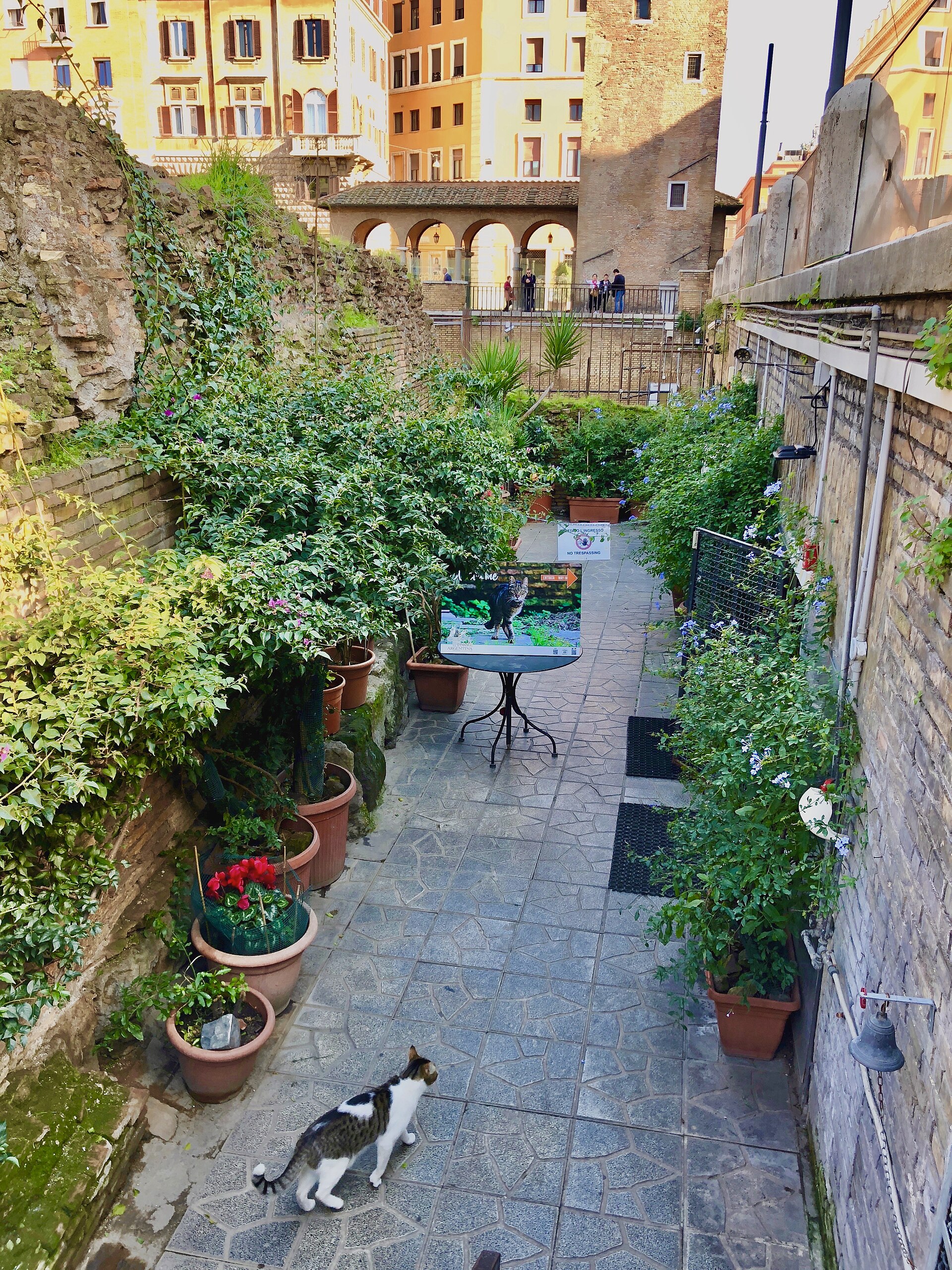 The entrance to the Torre Argentina cat sanctuary shelter, below street level