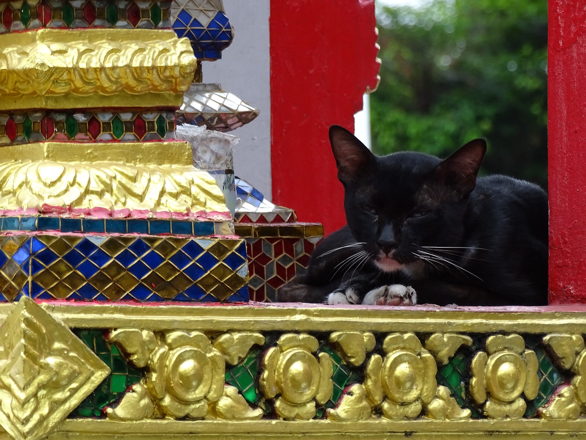 A cat in repose at a temple in Bangkok